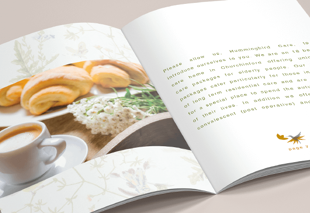 Care Home Business Brochures