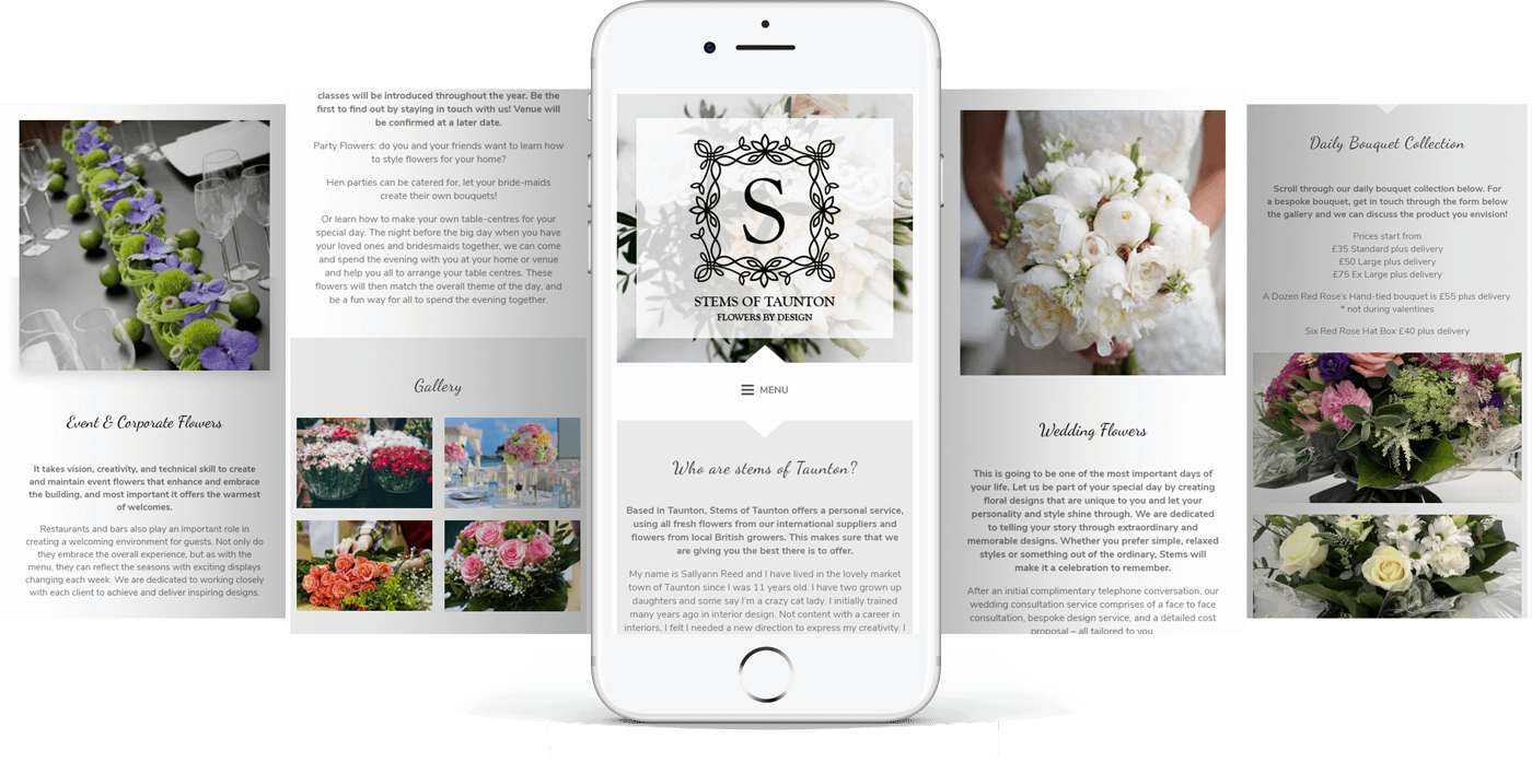 stems of taunton website mobile