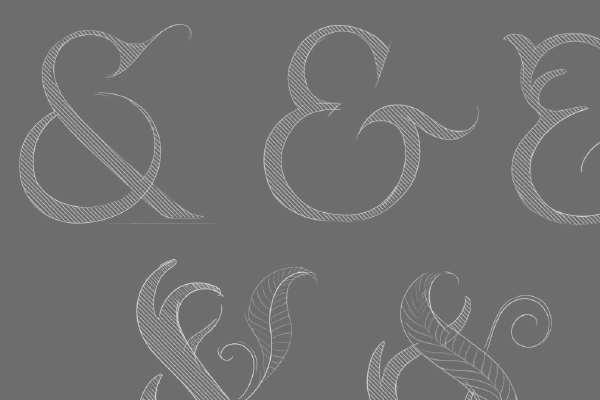Fallow & Fern- Brand process sketches